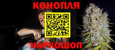 гидропоника Гусев