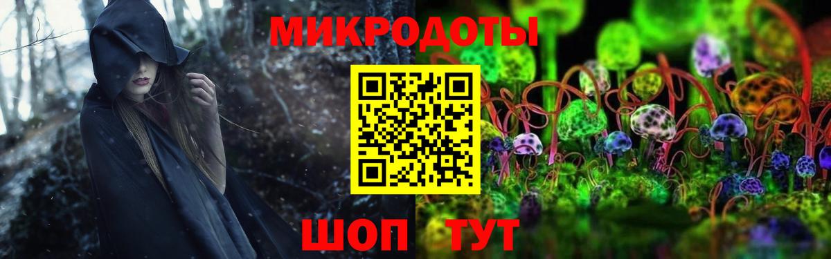 Псилоцибиновые грибы Cubensis  Вход с VPN  где найти   Минеральные Воды 
